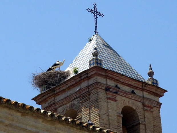 bornos-convento-del-corpus-campanario