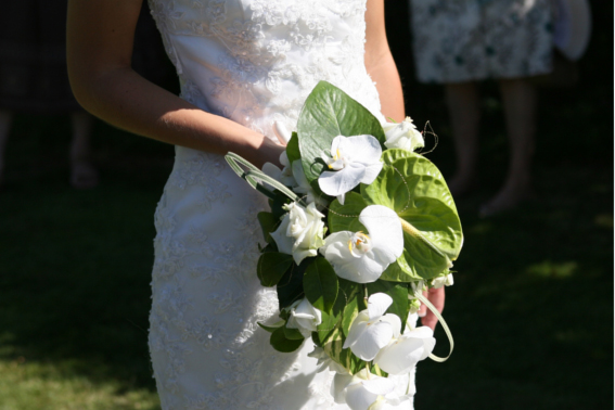 boda7