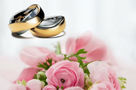 boda8