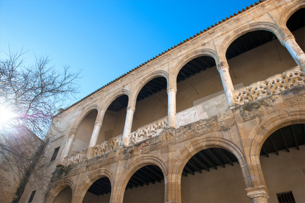 Castle-Palace of the Riberas