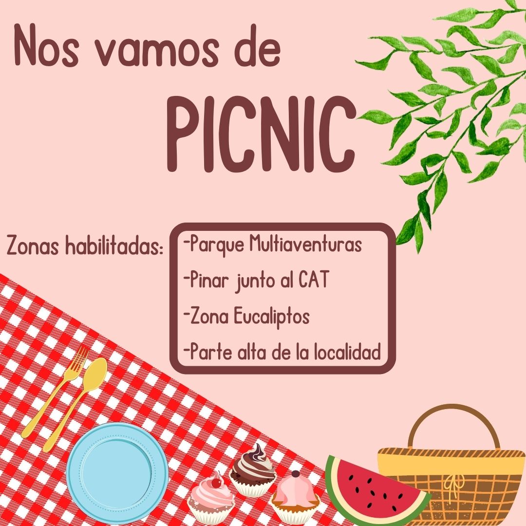 Picnic